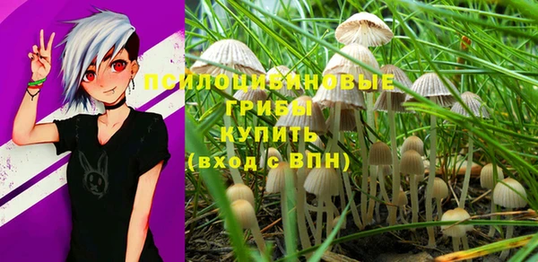 твердый Абдулино
