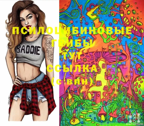 бошки Абинск