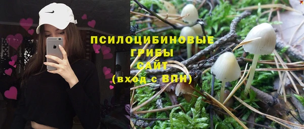бошки Абинск