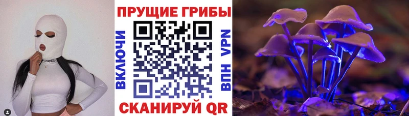 где найти наркотики  Абинск  Псилоцибиновые грибы MAGIC MUSHROOMS 